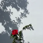 το αρχοντικό της ιωάννας