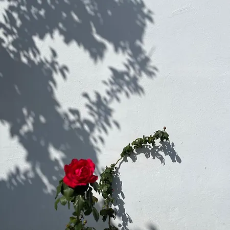 το αρχοντικό της ιωάννας